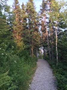 IMG_1232