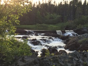 IMG_1966